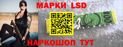 прущие грибы Краснодар