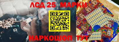 прущие грибы Краснодар