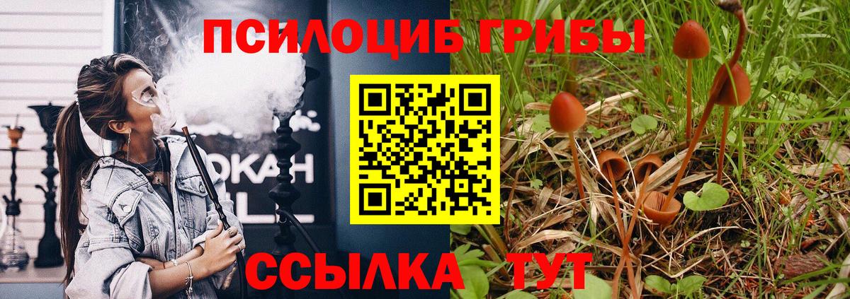 Псилоцибиновые грибы MAGIC MUSHROOMS Камышлов