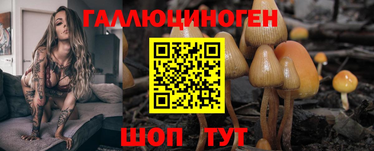 Камышлов  Галлюциногенные грибы Magic Shrooms  Вход с VPN 